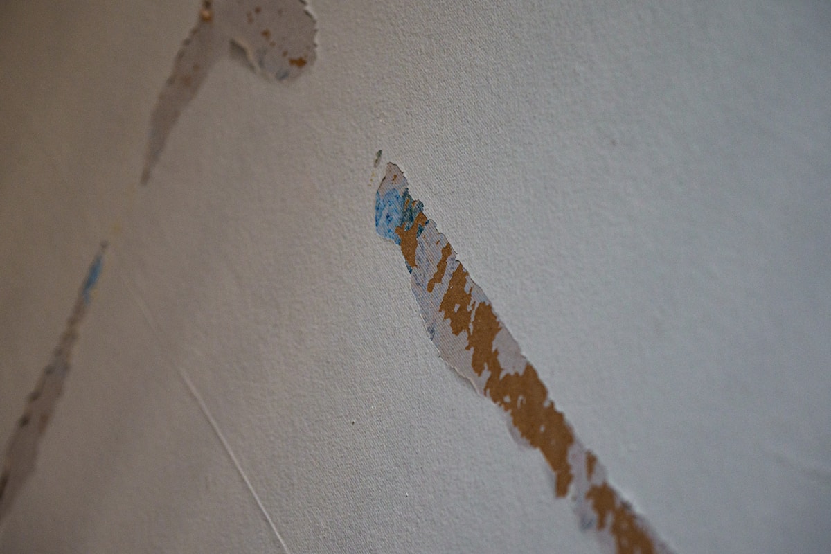 Mold Remediation service in Harrisonburg, VA